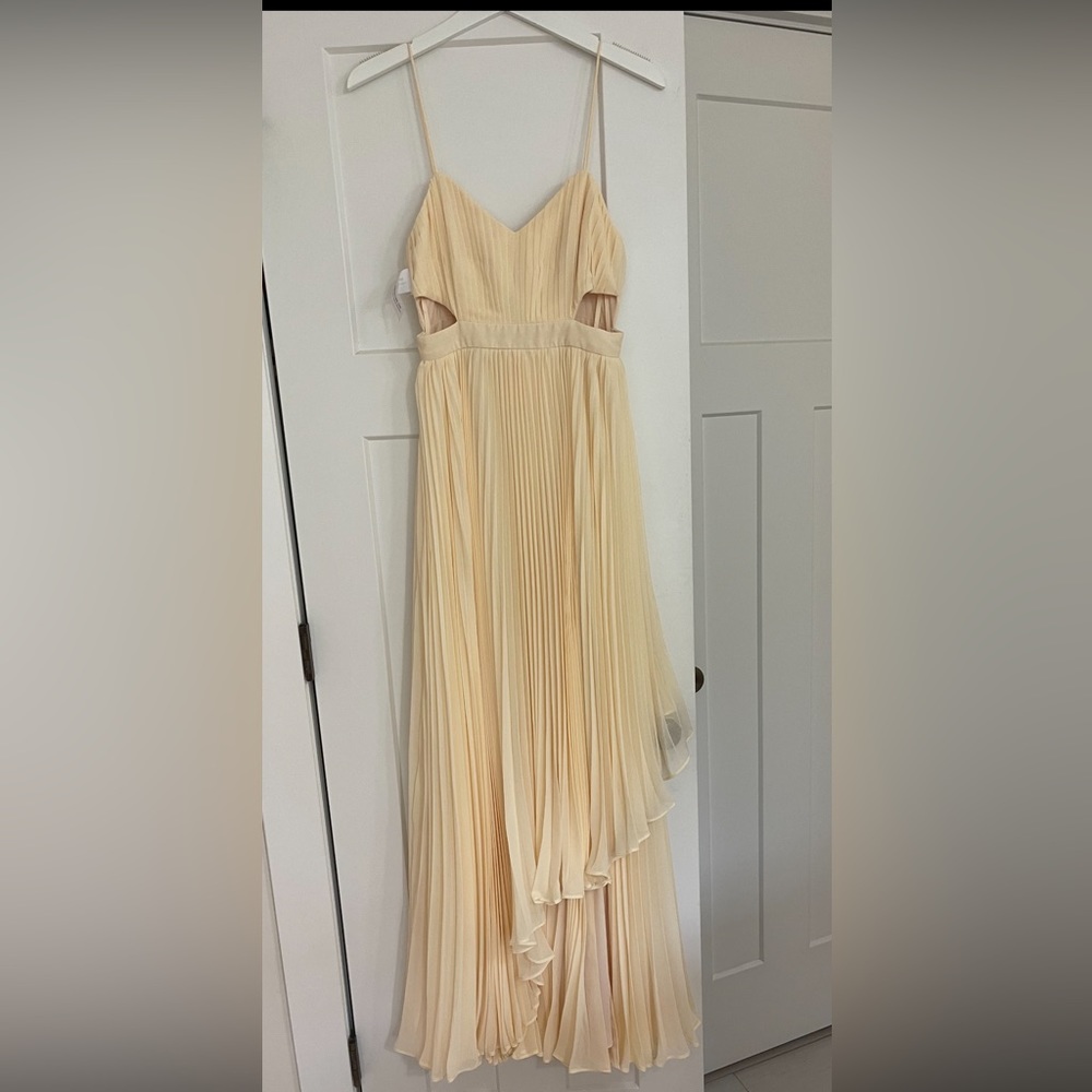 Fame and Partners maxi dress